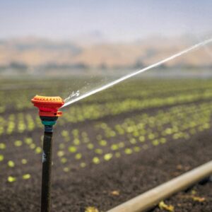 Photo by Mark Stebnicki A sprinkler irrigating a green crop field in a rural landscape under a clear blue sky.