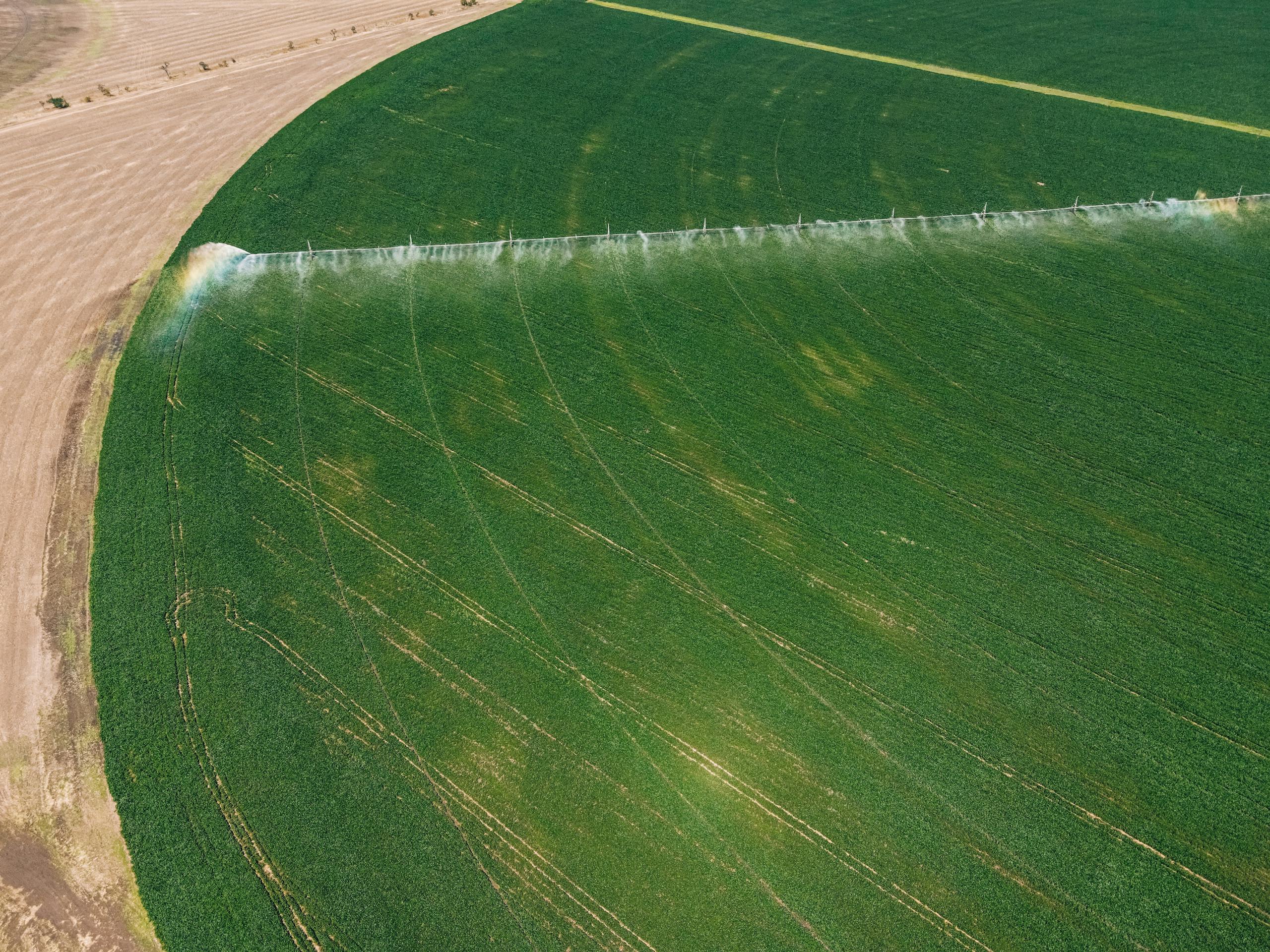 Drone shot of a circular irrigation system watering a green agricultural field.