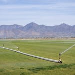 Wide view of a green field being irrigated, with mountains in the background under a clear sky.